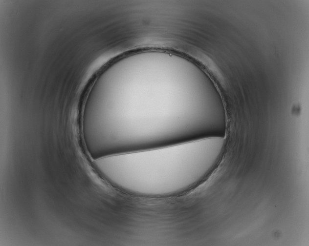 X0000101701030200807101341