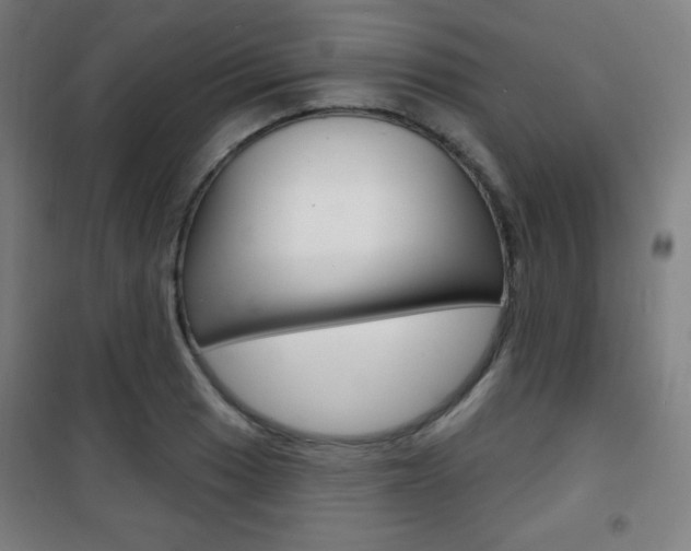 X0000101701033200807101341