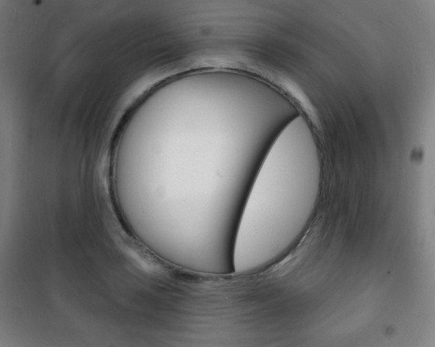 X0000101701035200807101341