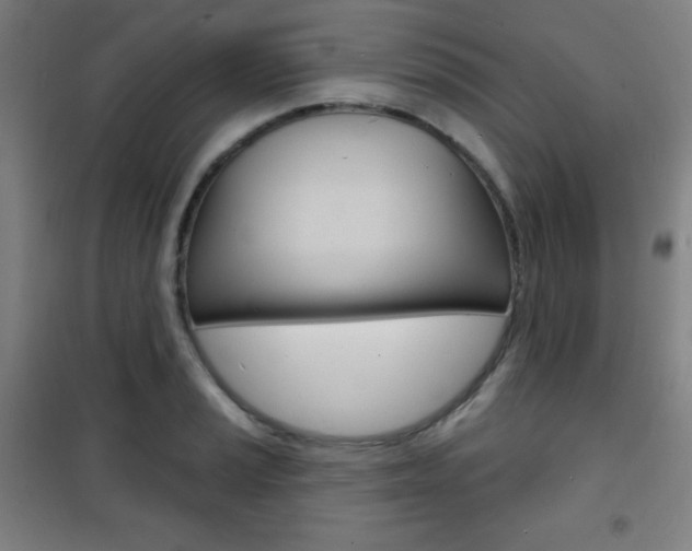 X0000101701037200807101341