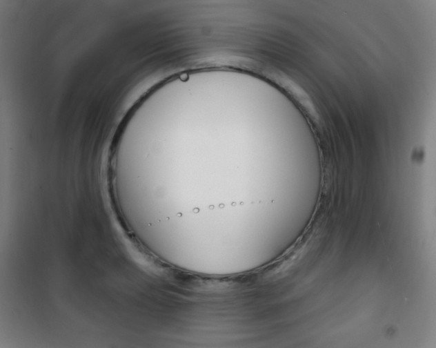 X0000101701039200807101341