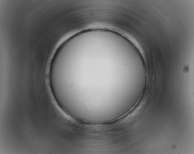 X0000101701045200807101341