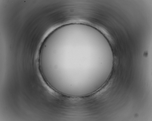X0000101701046200807101341