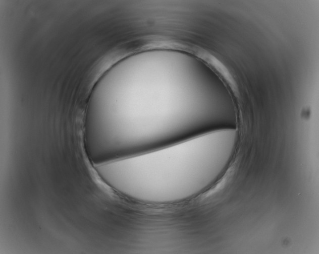 X0000101701049200807101341