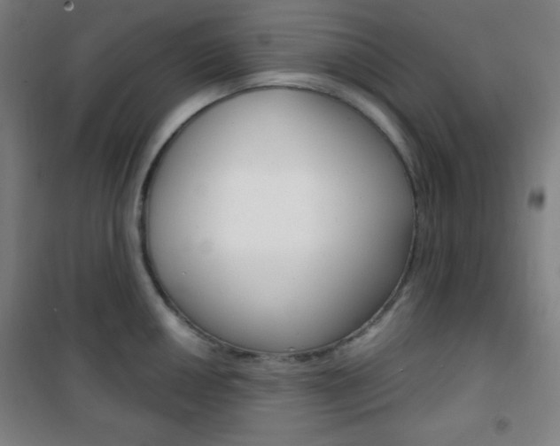 X0000101701050200807101341