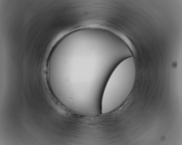 X0000101701051200807101341