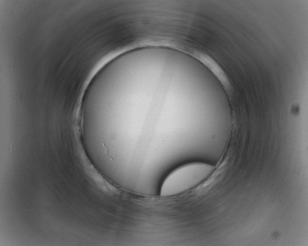 X0000101701052200807101341