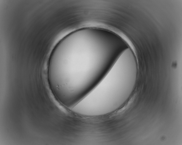 X0000101701053200807101341