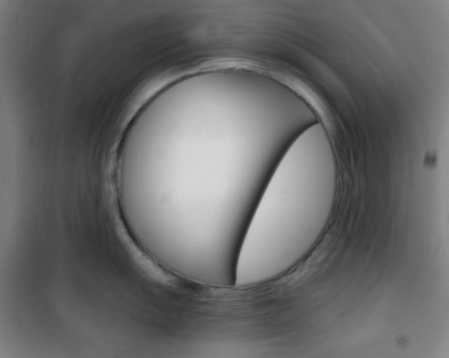 X0000101701055200807101341