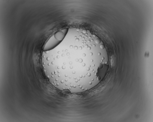 X0000101701059200807101341