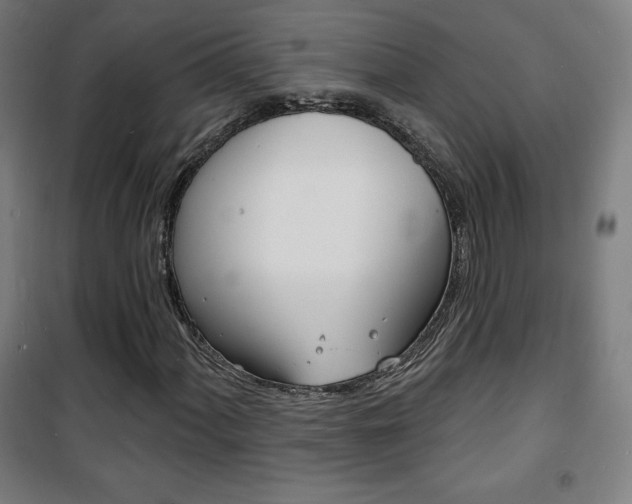 X0000101701060200807101341