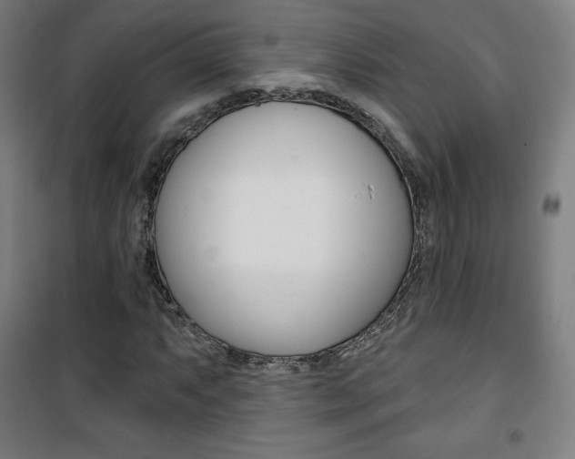 X0000101701063200807101341