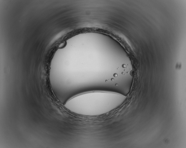 X0000101701064200807101341