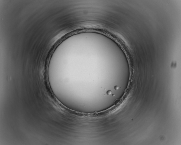 X0000101701065200807101341