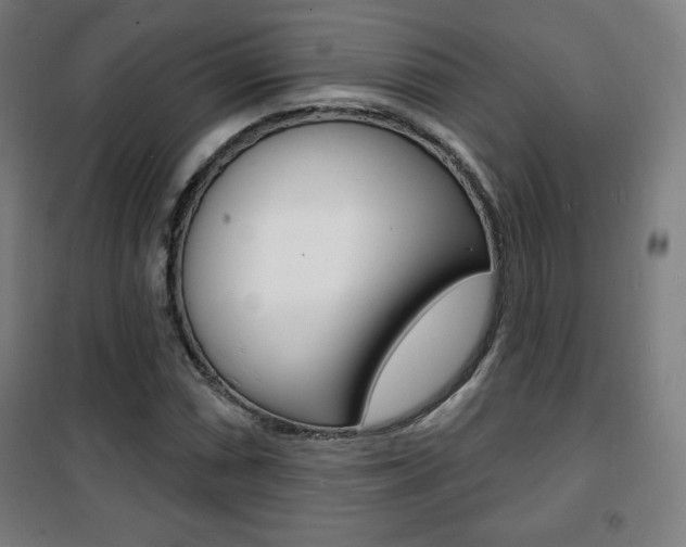 X0000101701066200807101341