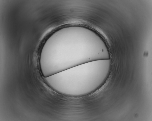 X0000101701067200807101341