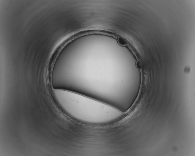 X0000101701069200807101341