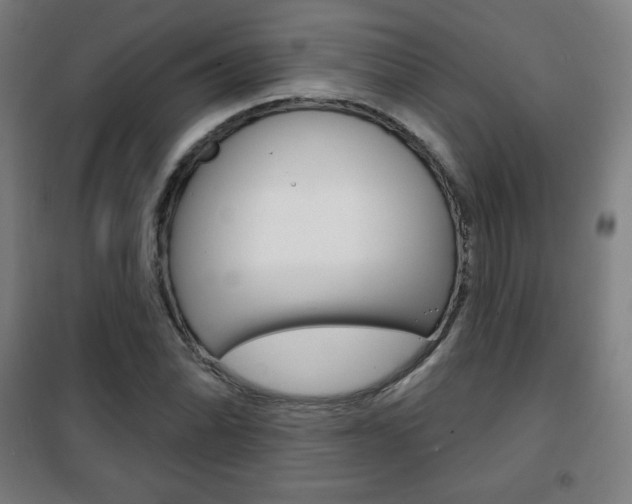 X0000101701070200807101340