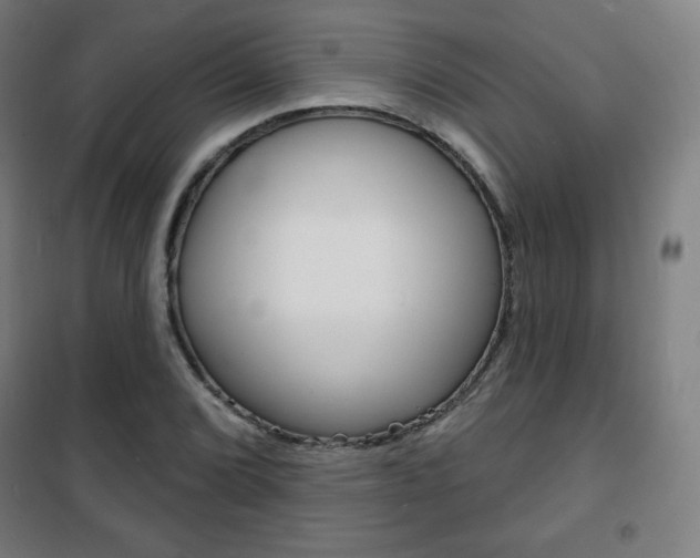 X0000101701072200807101340