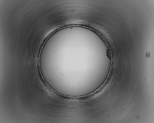 X0000101701073200807101340