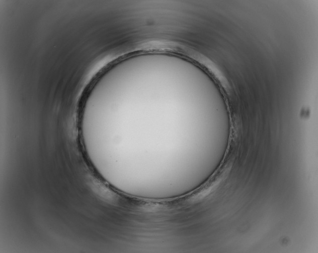 X0000101701075200807101340