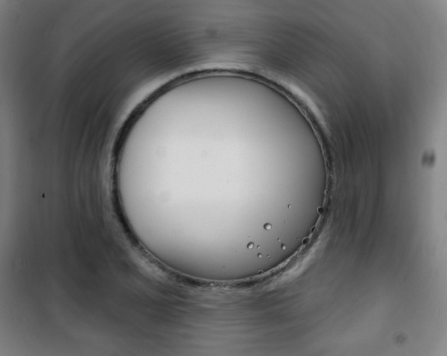 X0000101701077200807101340