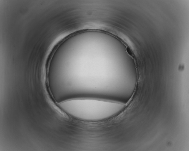 X0000101701080200807101340