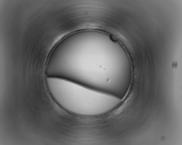 X0000101701081200807101340