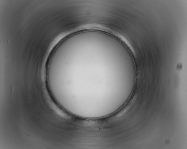 X0000101701082200807101340