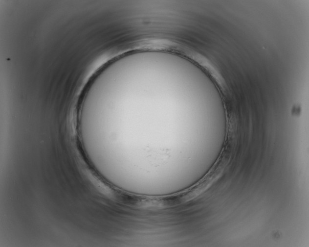 X0000101701083200807101340