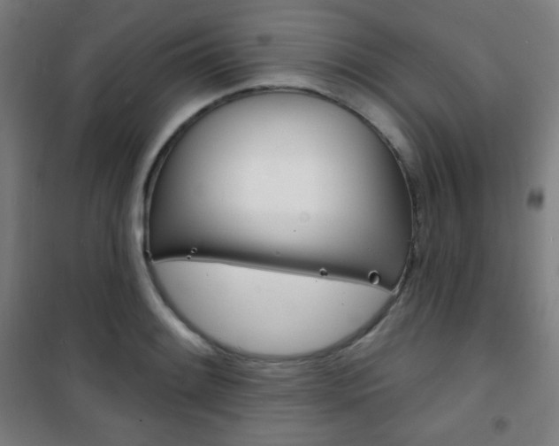 X0000101701084200807101340