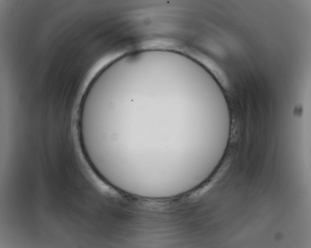 X0000101701086200807101340