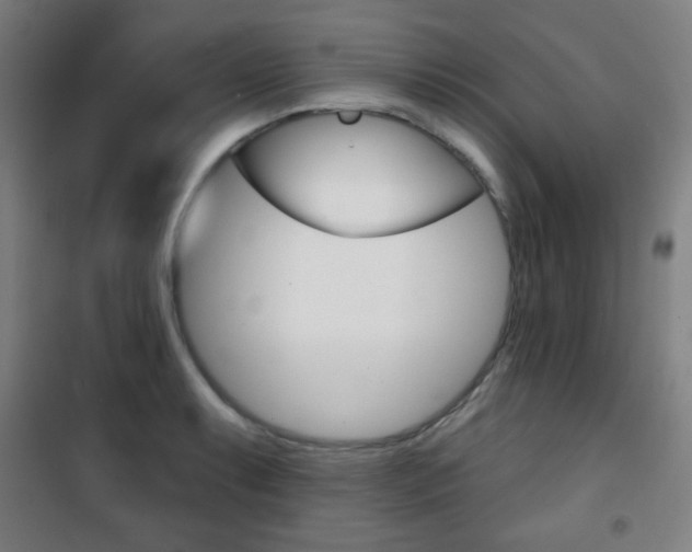 X0000101701087200807101340