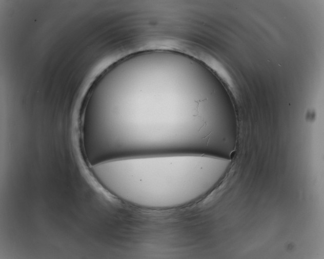 X0000101701088200807101340