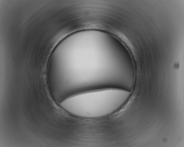 X0000101701089200807101340