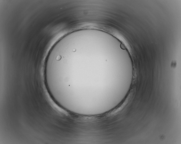X0000101701090200807101340
