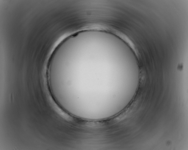 X0000101701091200807101340
