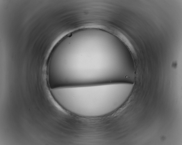 X0000101701092200807101340