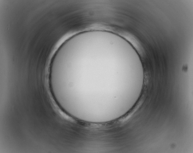 X0000101701094200807101340