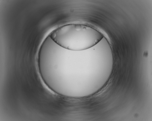 X0000101701095200807101340