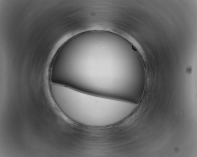 X0000101701096200807101340