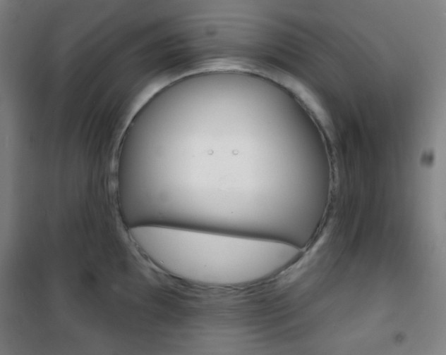 X0000101701097200807101340