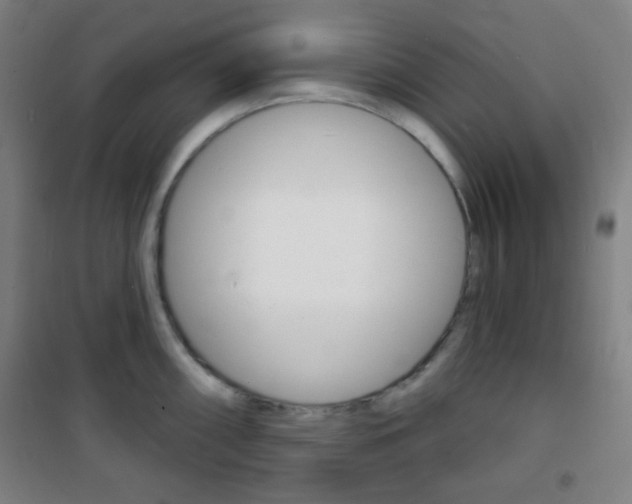 X0000101701098200807101340