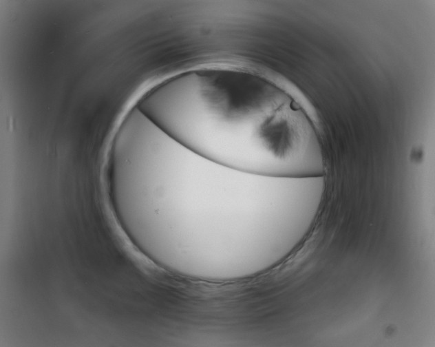 X0000101701099200807101340