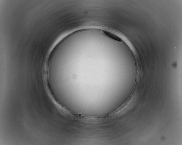 X0000101701101200807101340