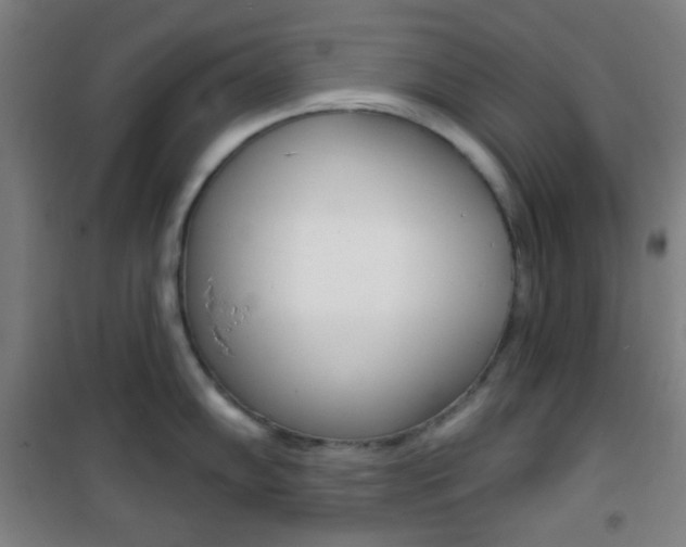 X0000101701102200807101340