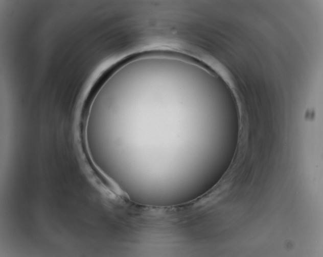 X0000101701104200807101340
