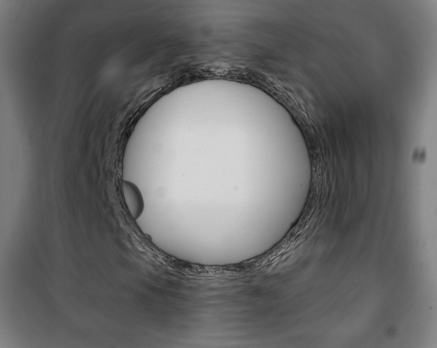 X0000101701105200807101339