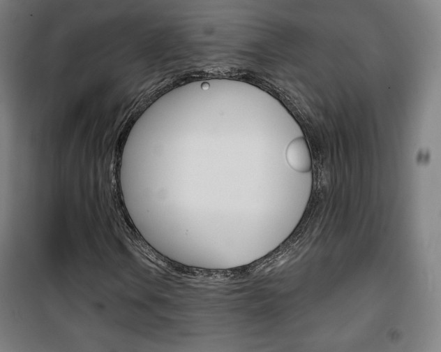 X0000101701106200807101339