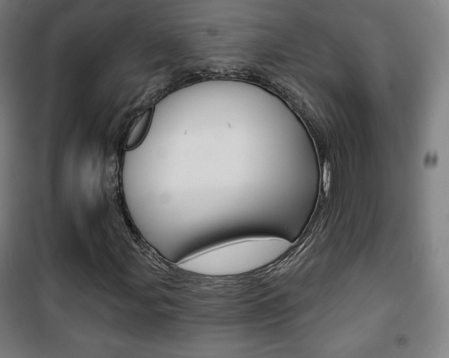 X0000101701107200807101339